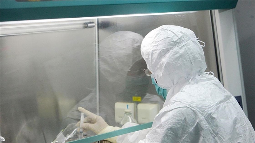 Daha bir ölkədə meymunçiçəyi aşkarlandı