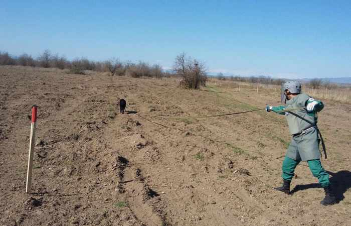 Azad edilmiş ərazilərdə daha 121 mina aşkarlandı