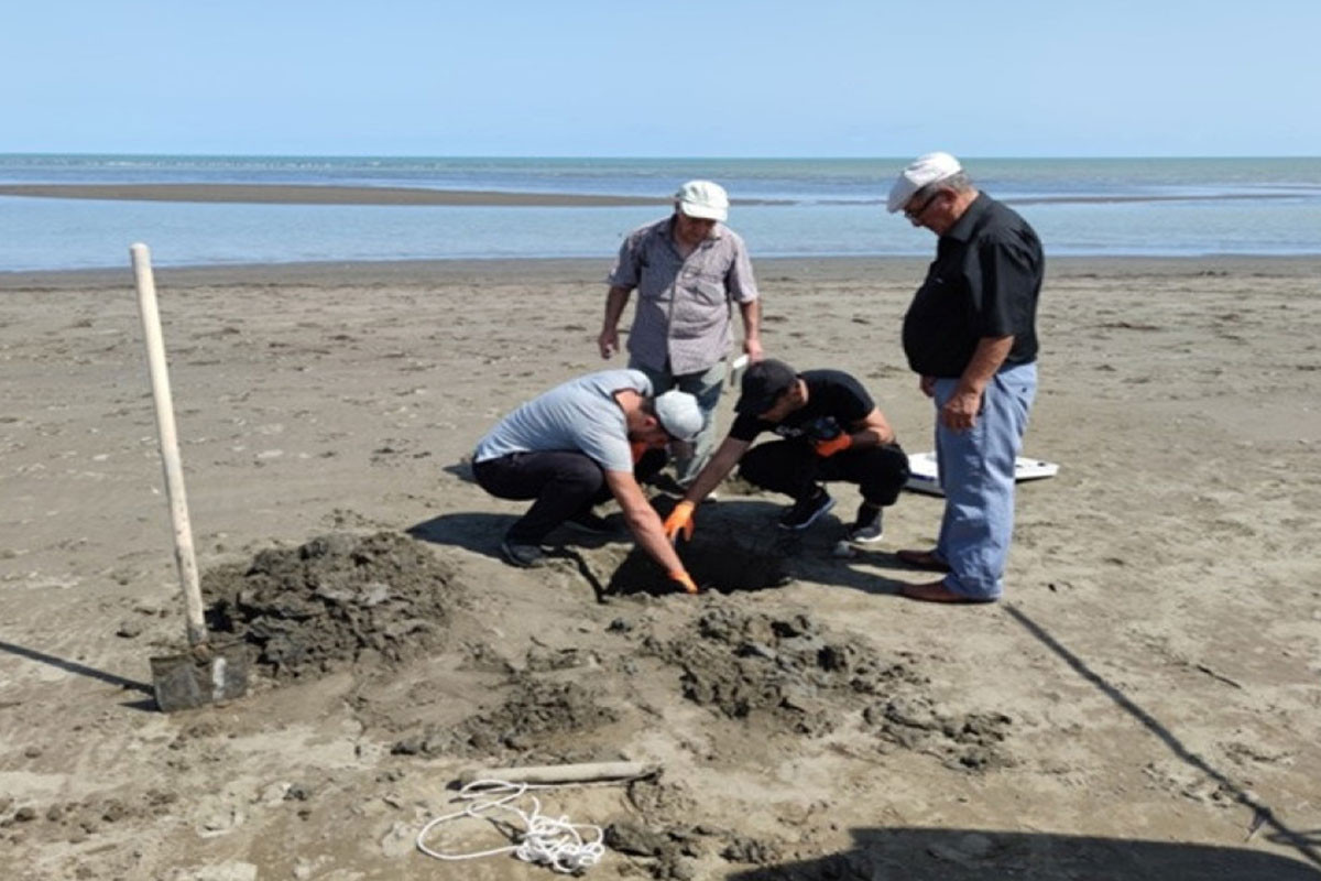 Kürün deltasının dəyişmə istiqamətlərinin modeli hazırlanacaq