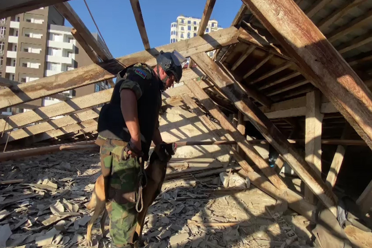 Bakıda əl qumbarası, UZRQM partladıcısı və silah mərmiləri aşkarlanıb – VİDEO