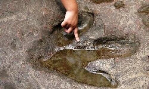 Çində şok tapıntı: minlərlə dinozavr izi – Foto