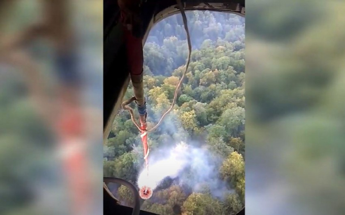 Dörd rayonumuzda meşə yanır – VİDEO