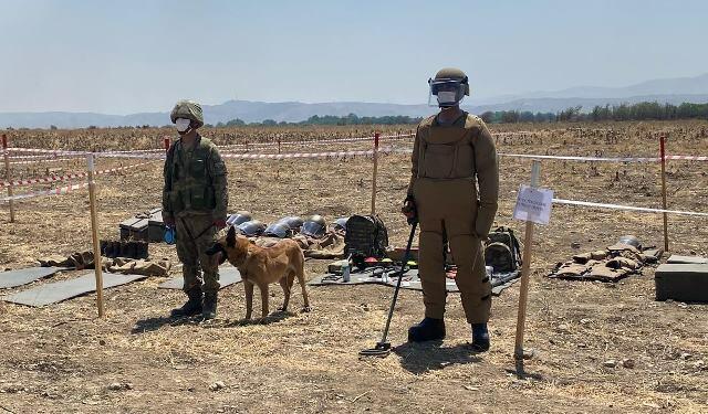 Nə qədər ərazi minalardan təmizlənib? – ANAMA