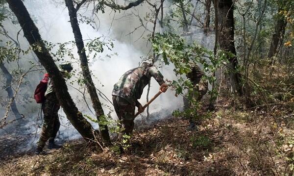 FHN Masallıdakı yanğınla bağlı məlumat yaydı – Video