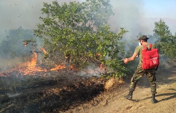 Masallıda dağlıq ərazidəki yanğın söndürüldü