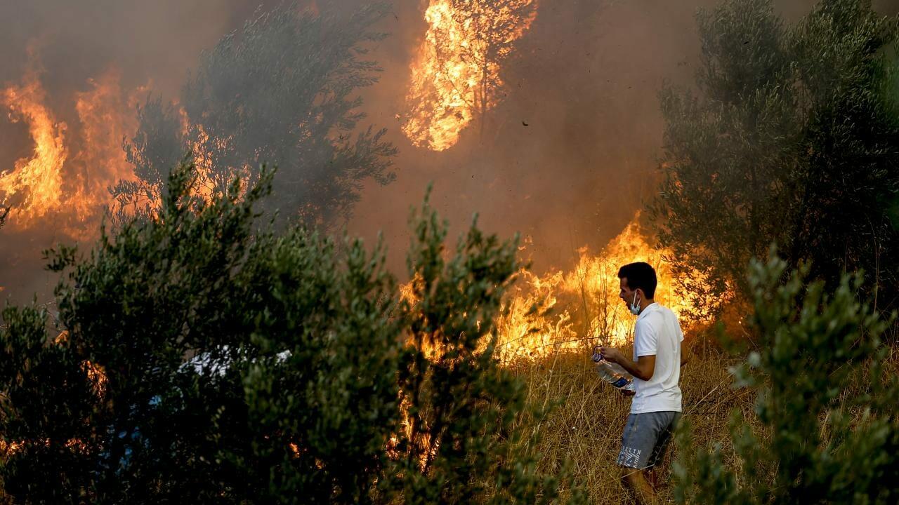 Türkiyədə meşə yanır