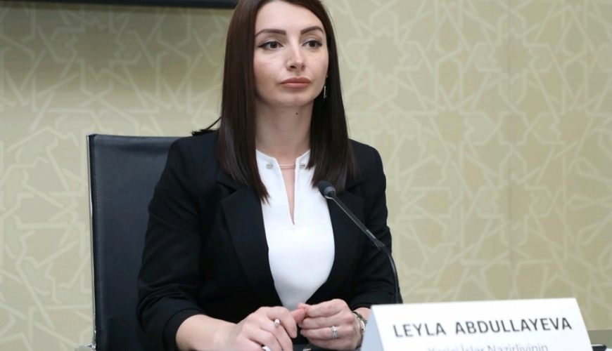 Leyla Abdullayeva Fransa XİN-in departament direktoru ilə görüşüb