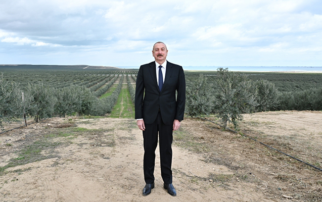 “Burada tarix boyu heç nə bitmirdi” – VİDEO