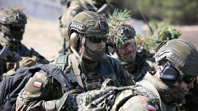 Polşa və Litva arasında hərbi əməkdaşlıq sazişi