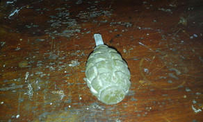 Polisdən əməliyyat: fermadan qumbaralar götürüldü