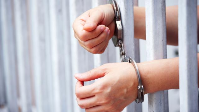 Avstraliya məhbusların sayını üçdə bir azalda bilər