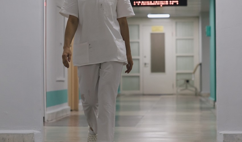 Ermənistanda donuz qripi yenidən yayılıb