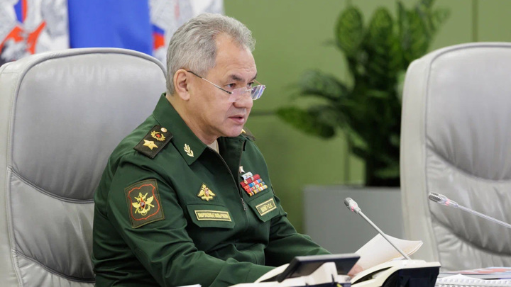 Şoyqu Suriya və Türkiyədən olan həmkarları ilə danışıqlar aparıb