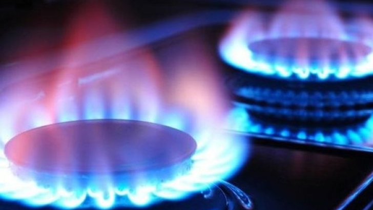 Qarabağa qazın verilişində fasilə yarandı: Ermənilərin gülünc “soyqırımı” iddiası