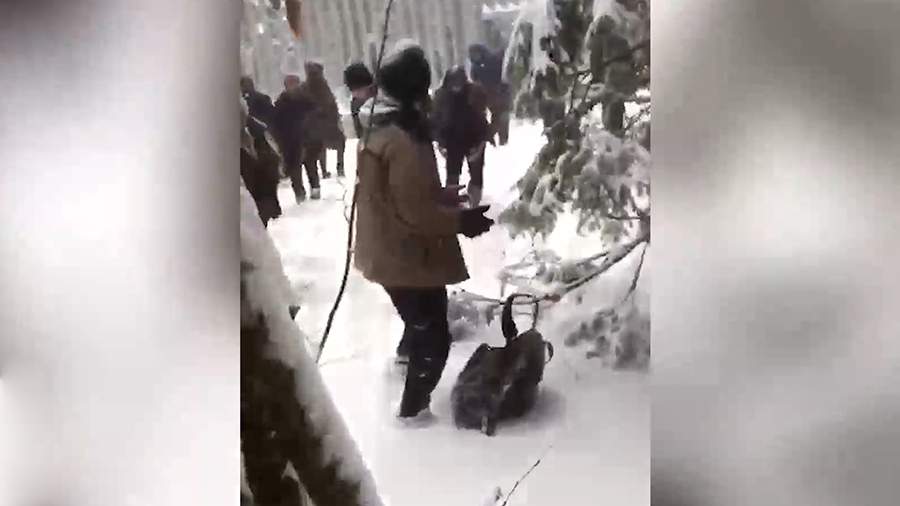 Polşa sərhədçiləri qaçqınları heyvanlar üçün qapıdan zorla çıxarıblar
