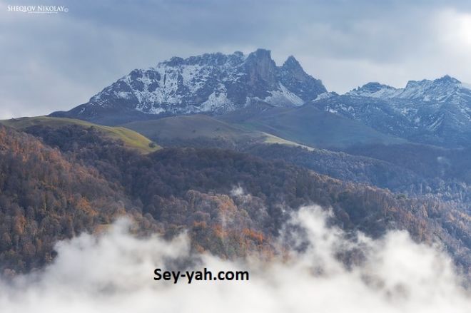 Qəbələdə 1 nəfər dağlıq-meşəlik ərazidə itkin düşdü