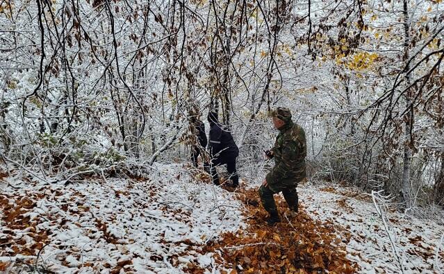 Qəbələdə itkin düşən şəxsin axtarışları davam etdirilir – Video