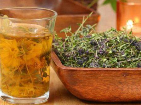 Bir ailənin 5 üzvü kəklikotudan zəhərləndi