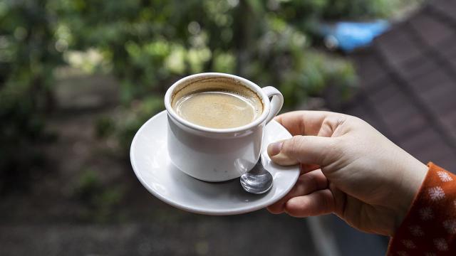 Dünyanın ən bahalı qəhvəsi: kilosu 1000 dollar