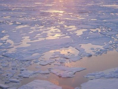 Yaxın illərdə Arktikada yay dəniz buzları yox ola bilər