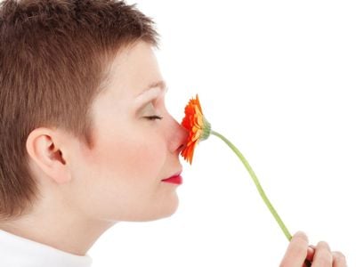 Alimlər inkar etdi: “Kişi və qadınların qoxu alma qabiliyyətində fərq yoxdur”