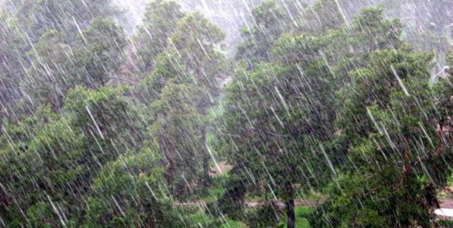 Yağış yağacaq, güclü külək əsəcək – Xəbərdarlıq